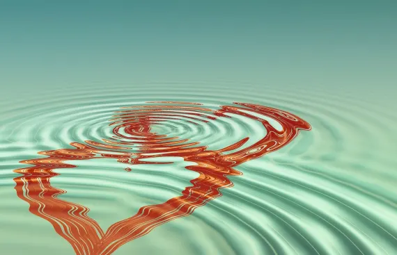 Vanguards Casino Suporte